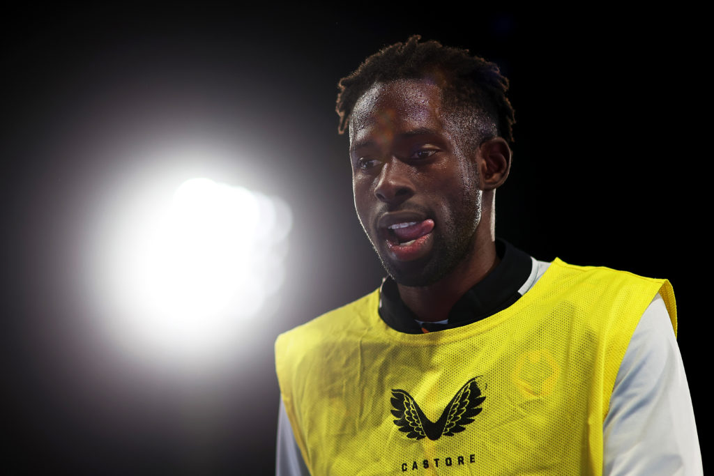 Crystal Palace v Wolverhampton Wanderers - Premier League