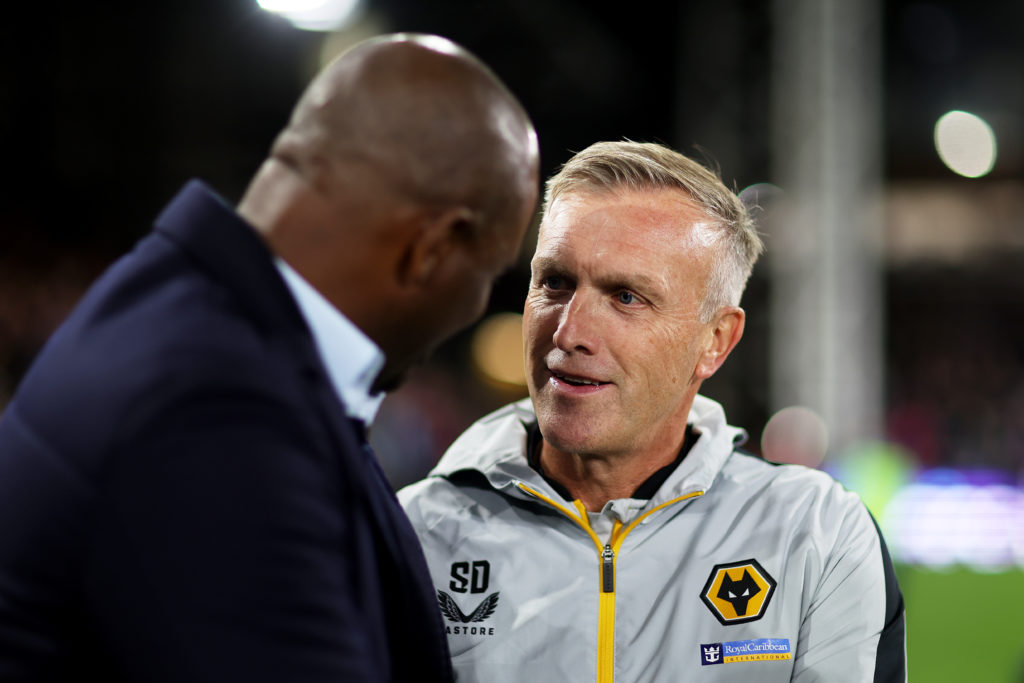 Crystal Palace v Wolverhampton Wanderers - Premier League