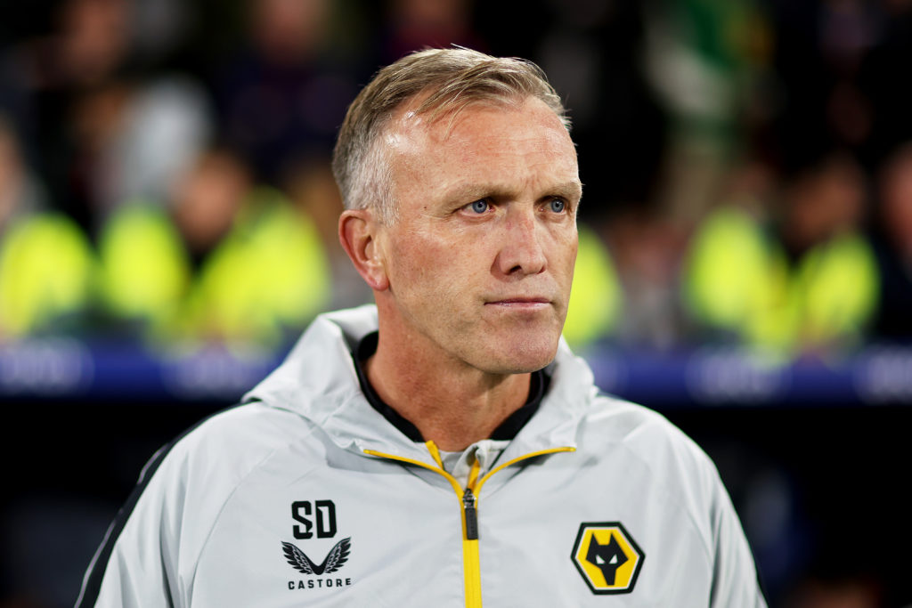 Crystal Palace v Wolverhampton Wanderers - Premier League