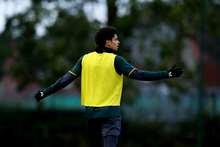 Photo by Jack Thomas - WWFC/Wolves via Getty Images