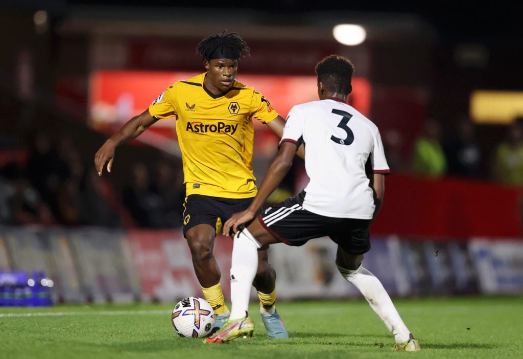 Wolverhampton Wanderers v Fulham: Premier League 2