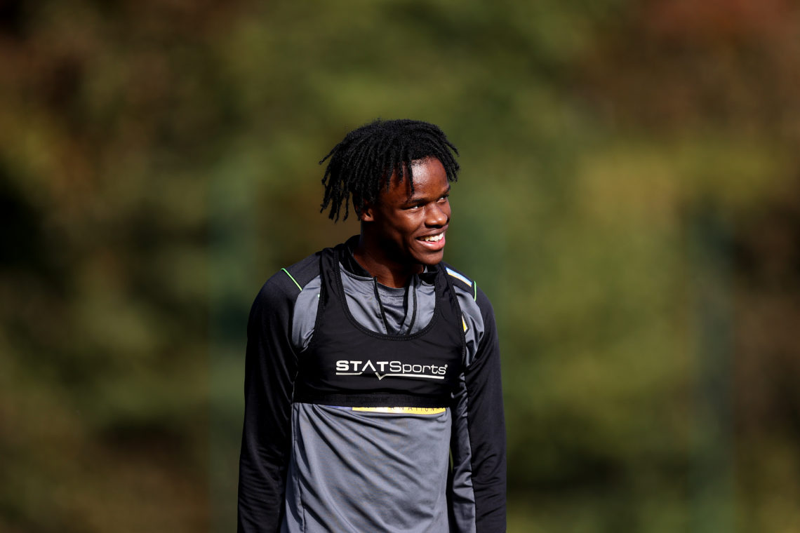 Photo by Jack Thomas - WWFC/Wolves via Getty Images