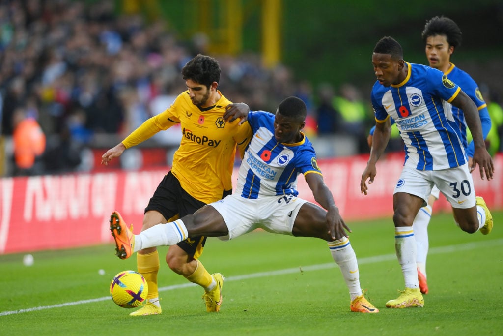 Wolverhampton Wanderers v Brighton & Hove Albion - Premier League