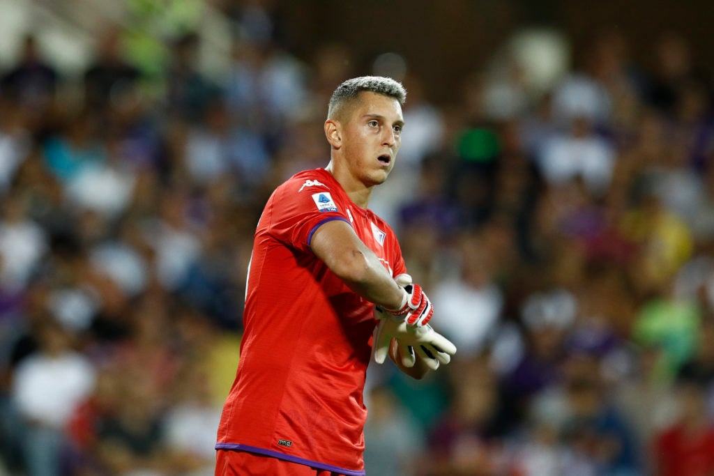 ACF Fiorentina v SSC Napoli - Serie A