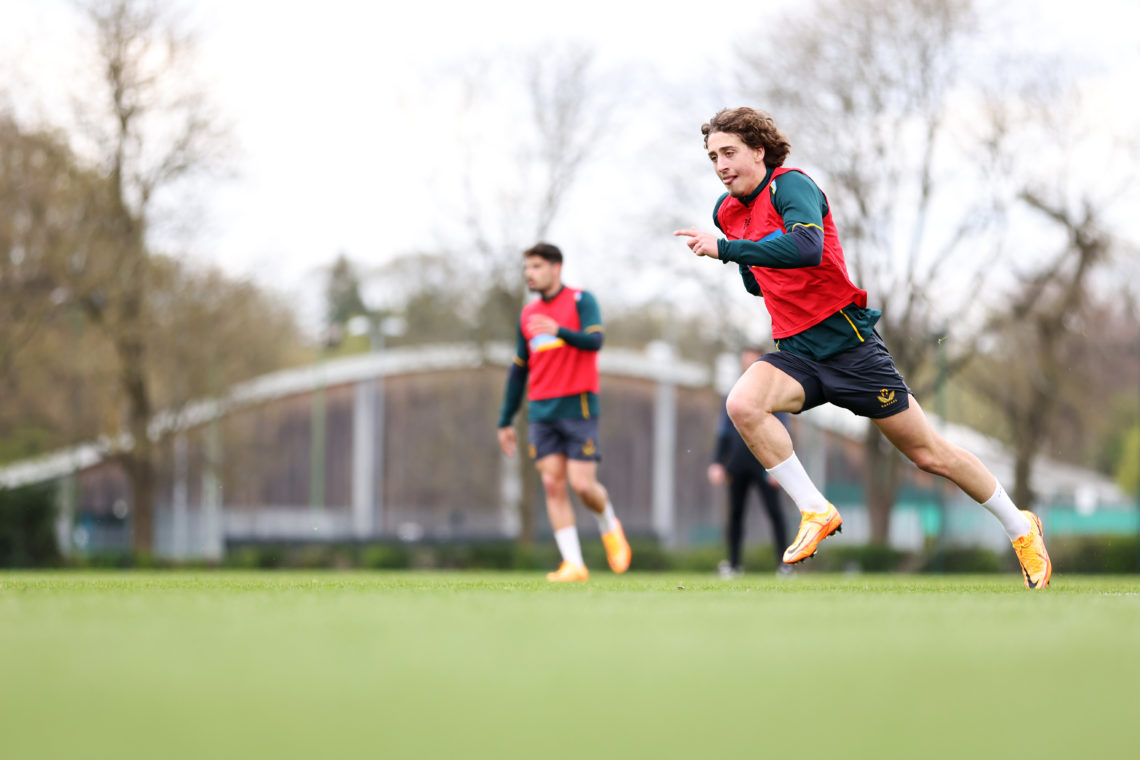 Photo by Jack Thomas - WWFC/Wolves via Getty Images