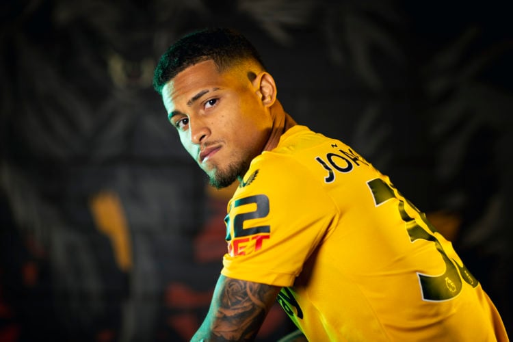 Photo by Jack Thomas - WWFC/Wolves via Getty Images