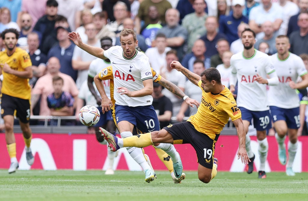 Tottenham Hotspur v Wolverhampton Wanderers - Premier League