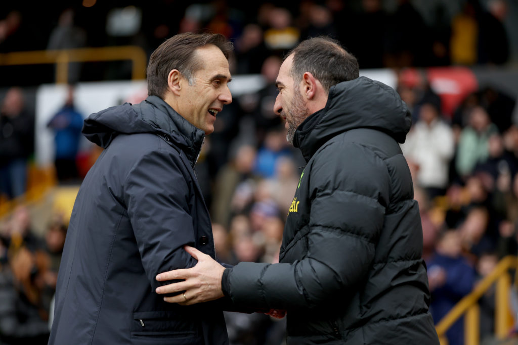 Wolverhampton Wanderers v Tottenham Hotspur - Premier League