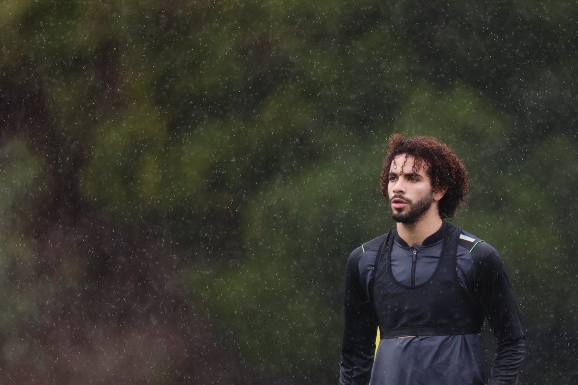 Photo by Isaac Parkin - WWFC/Wolves via Getty Images