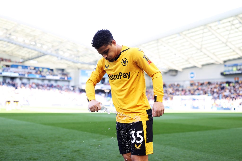 Brighton & Hove Albion v Wolverhampton Wanderers - Premier League