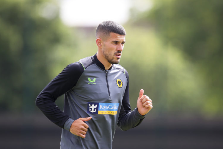 Photo by Jack Thomas - WWFC/Wolves via Getty Images