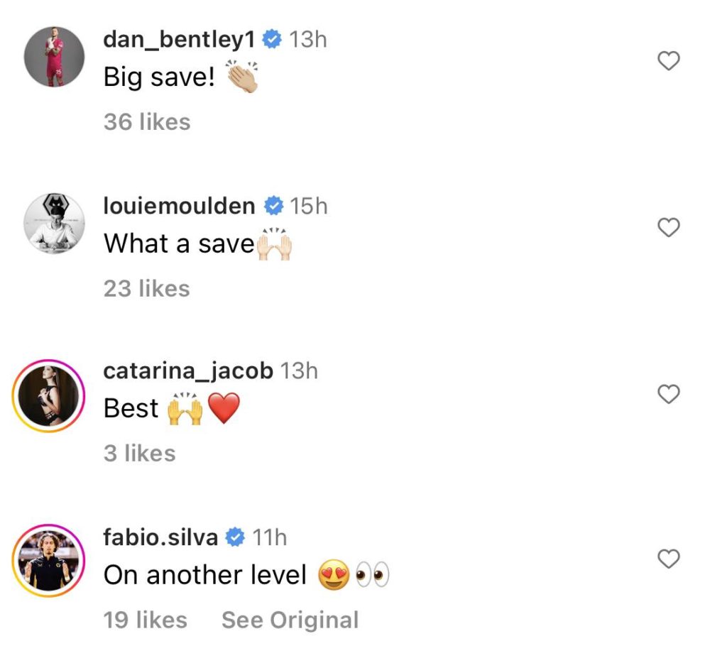Wolves stars Jose Sa