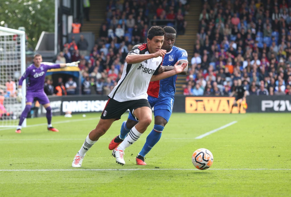 Crystal Palace v Fulham FC - Premier League