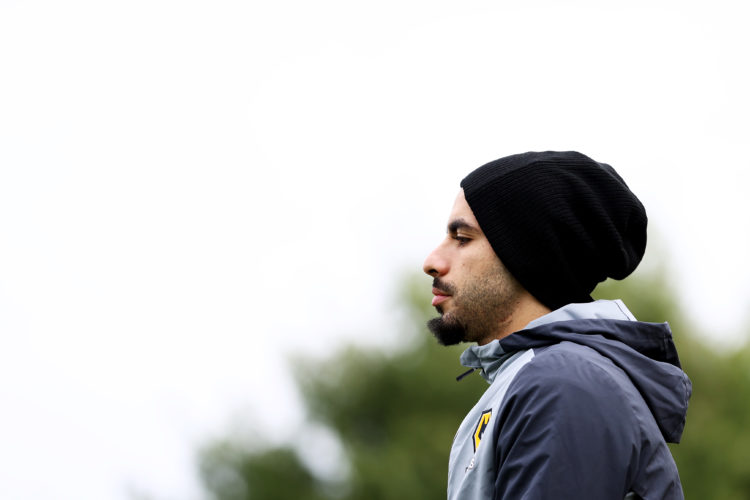 Photo by Jack Thomas - WWFC/Wolves via Getty Images