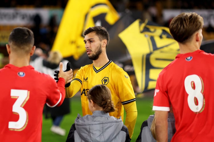 Photo by Jack Thomas - WWFC/Wolves via Getty Images
