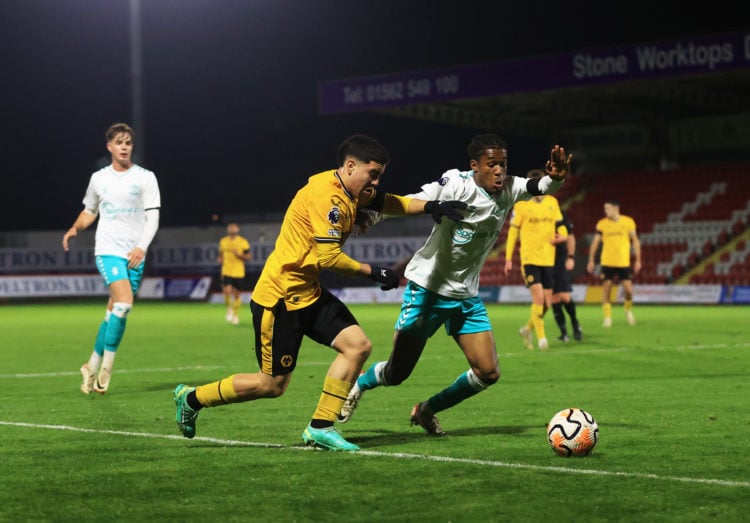 Photo by Cameron Smith - WWFC/Wolves via Getty Images