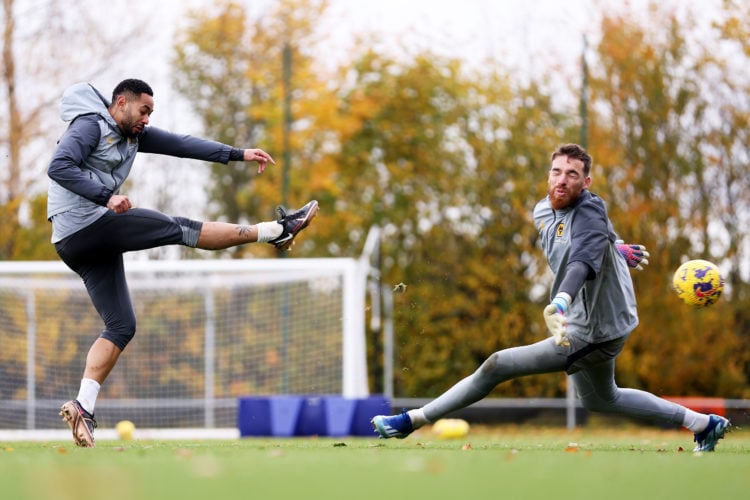 Photo by Jack Thomas - WWFC/Wolves via Getty Images