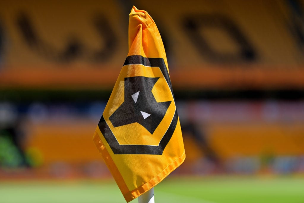 Wolverhampton Wanderers v Everton FC - Premier League