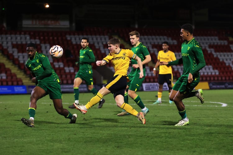 Photo by Cameron Smith - WWFC/Wolves via Getty Images