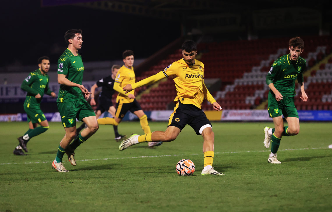 Photo by Cameron Smith - WWFC/Wolves via Getty Images