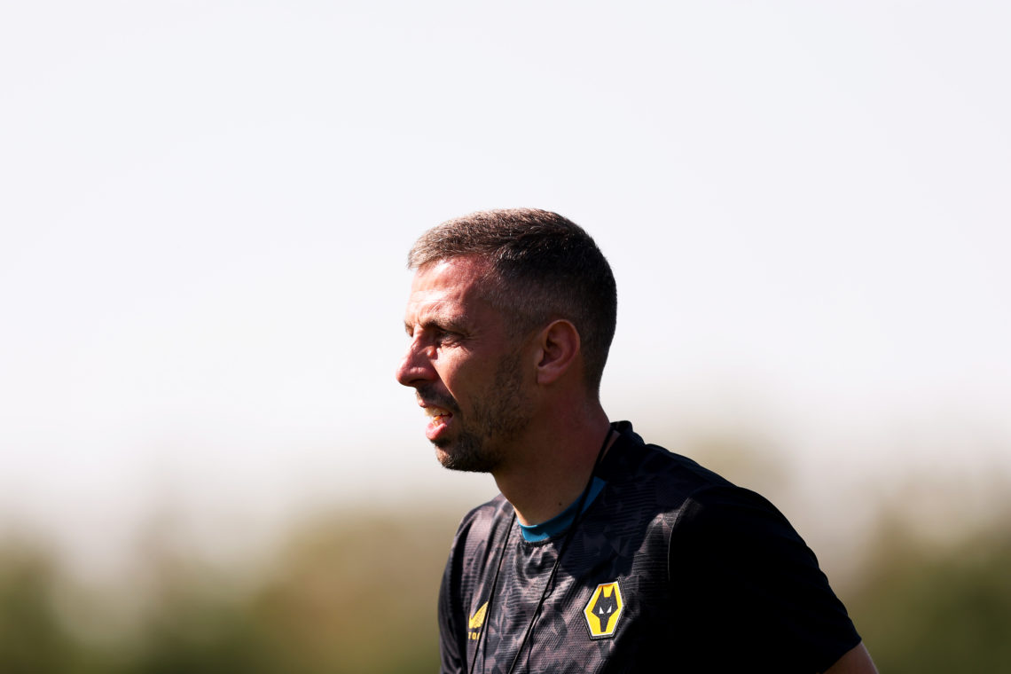 Photo by Jack Thomas - WWFC/Wolves via Getty Images