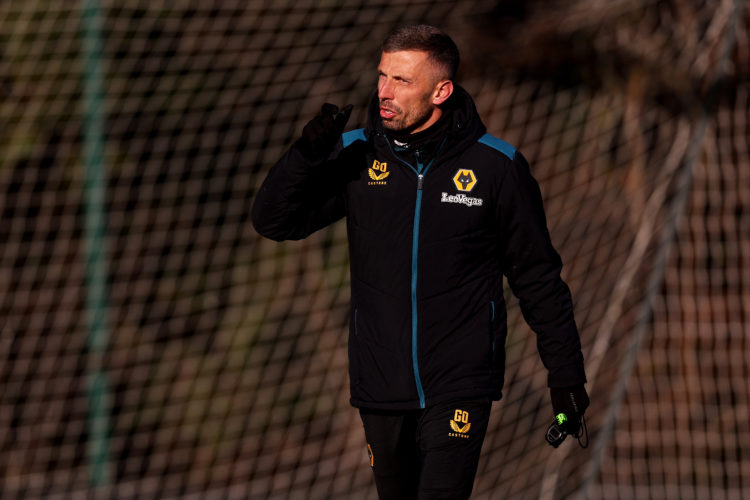 Photo by Jack Thomas - WWFC/Wolves via Getty Images