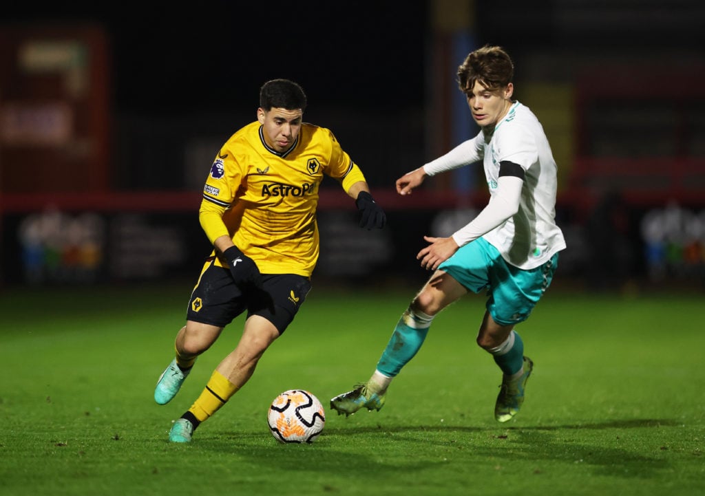 Wolverhampton Wanderers v Southampton: Premier League 2