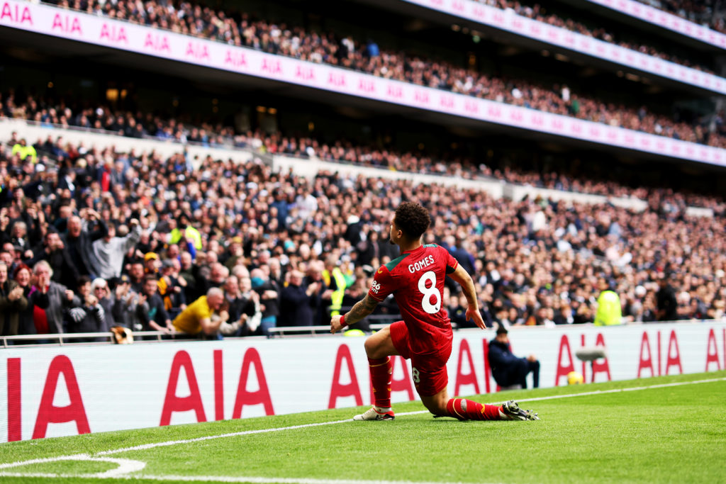 Tottenham Hotspur v Wolverhampton Wanderers - Premier League