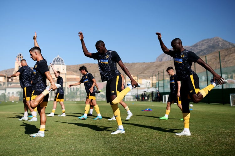 Photo by Jack Thomas - WWFC/Wolves via Getty Images