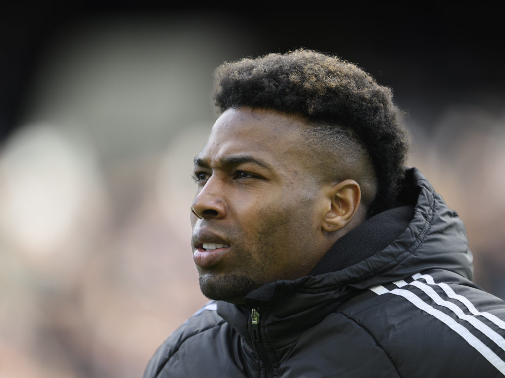 Fulham FC v Brighton & Hove Albion - Premier League