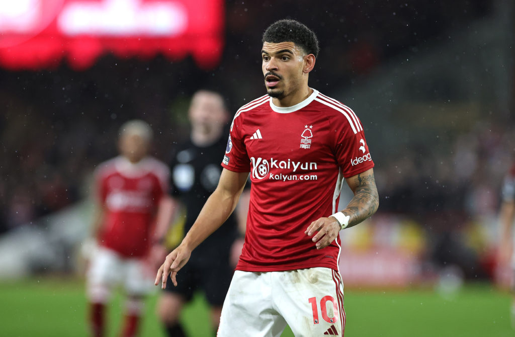 Nottingham Forest v Fulham FC - Premier League