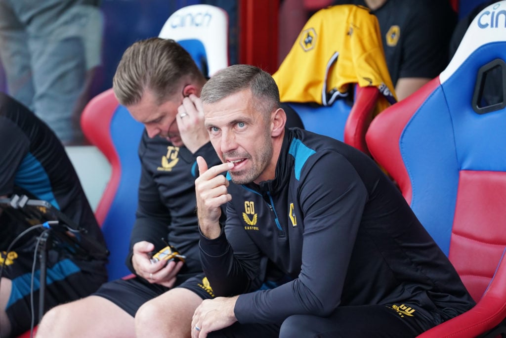 Crystal Palace v Wolverhampton Wanderers - Premier League