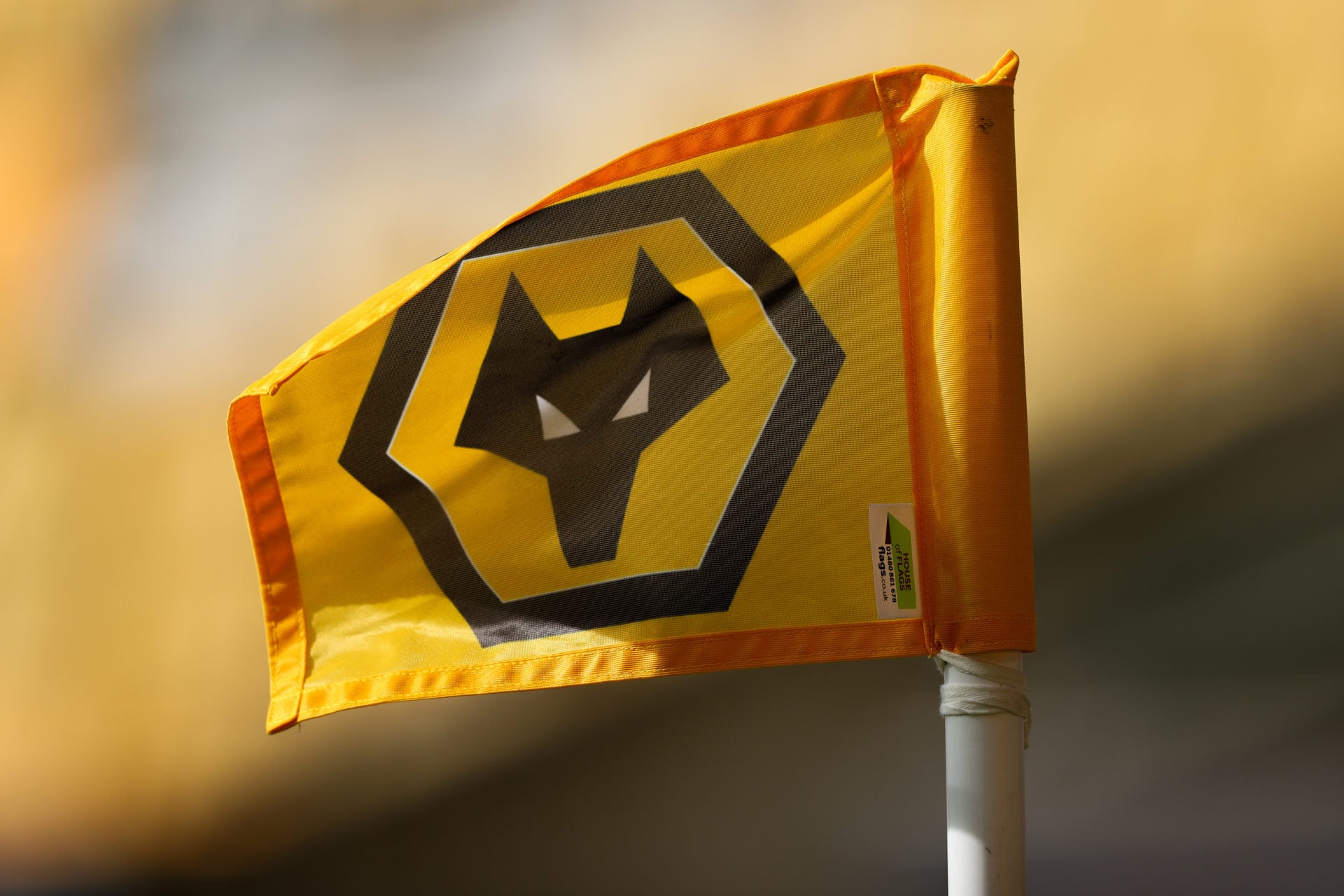 Wolves New Home Kit 24/25 First Look, Cost, Sponsor and How to Buy