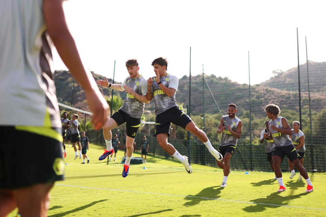 Photo by Jack Thomas - WWFC/Wolves via Getty Images