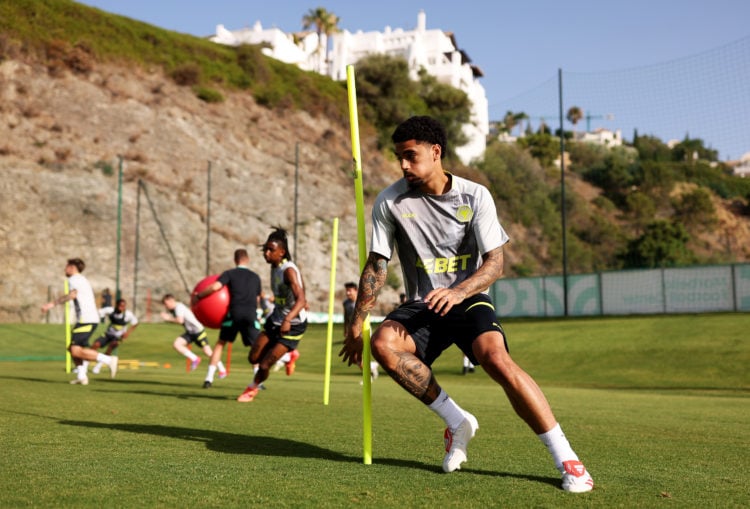 Photo by Jack Thomas - WWFC/Wolves via Getty Images