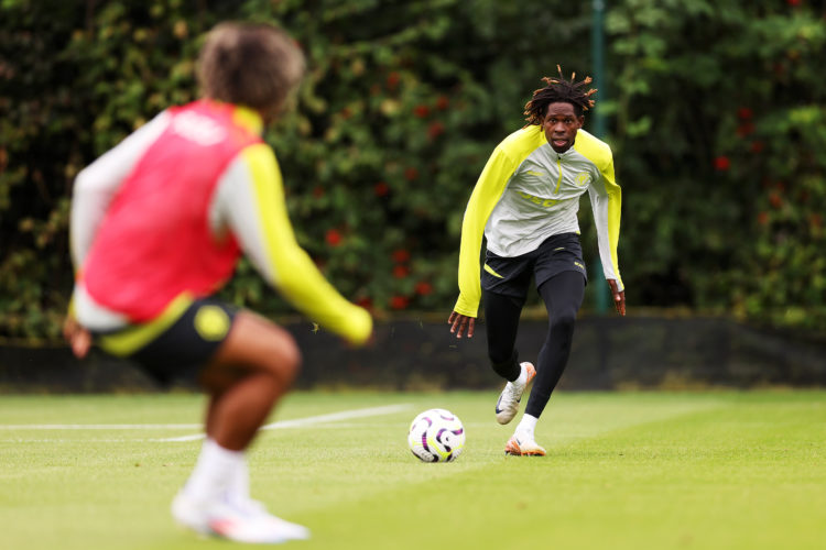 Photo by Jack Thomas - WWFC/Wolves via Getty Images