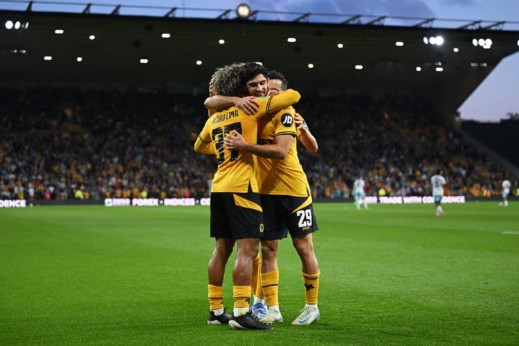 Photo by Shaun Botterill/Getty Images