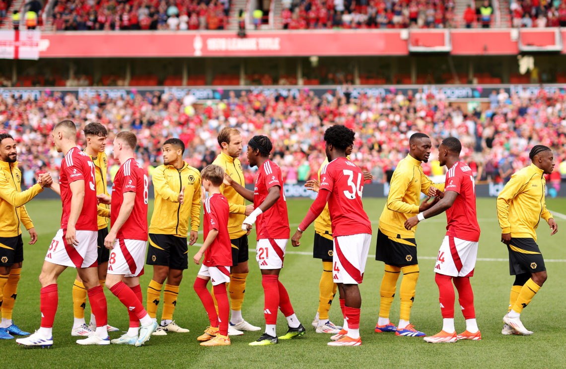 Photo by Jack Thomas - WWFC/Wolves via Getty Images