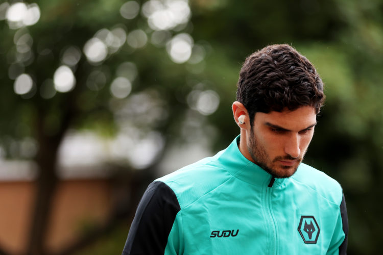 Photo by Jack Thomas - WWFC/Wolves via Getty Images