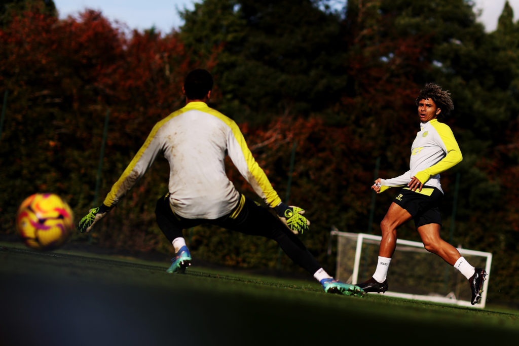 Wolverhampton Wanderers Training Session