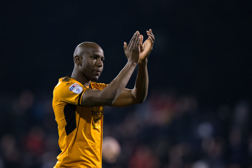 Fulham v Wolverhampton Wanderers - Sky Bet Championship