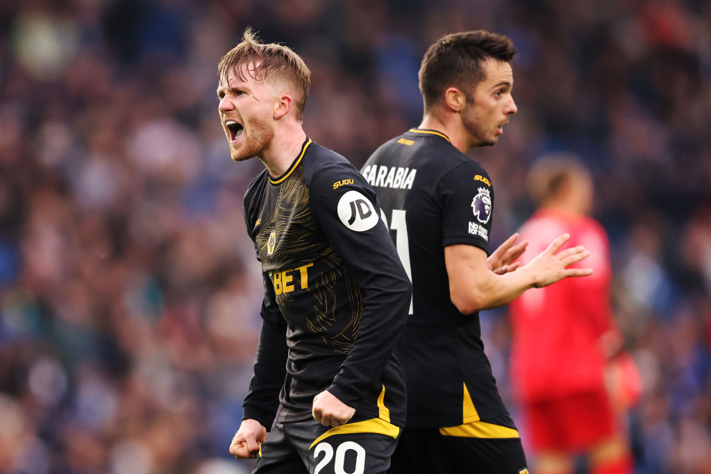 Brighton & Hove Albion FC v Wolverhampton Wanderers FC - Premier League