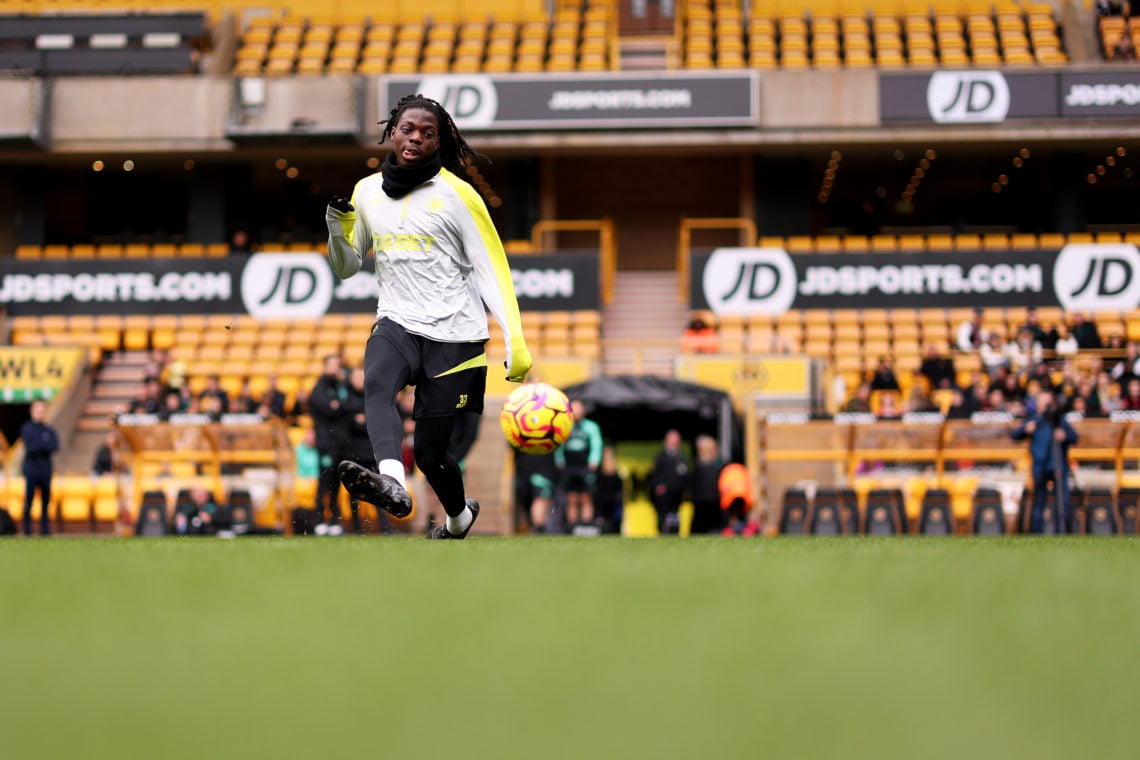 Photo by Jack Thomas - WWFC/Wolves via Getty Images