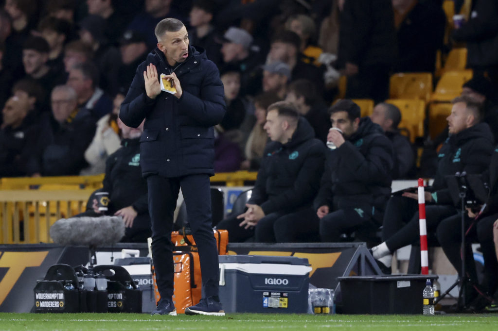 Wolverhampton Wanderers FC v Crystal Palace FC - Premier League