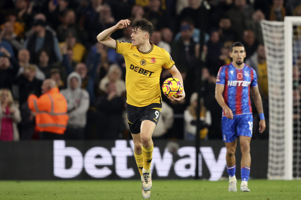 Wolverhampton Wanderers FC v Crystal Palace FC - Premier League