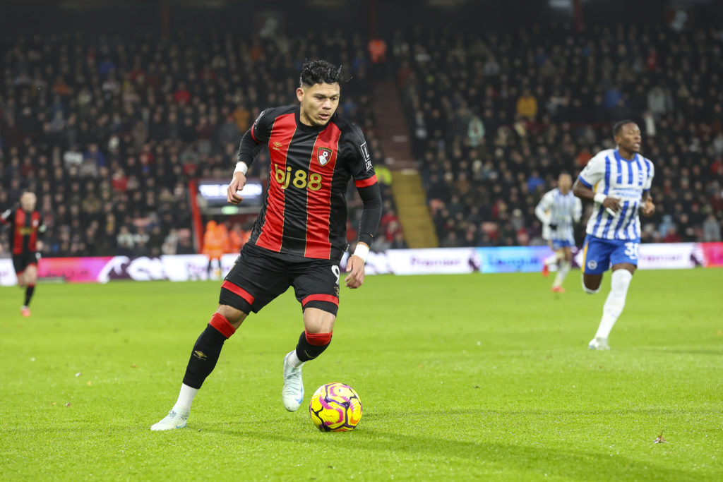 AFC Bournemouth v Brighton & Hove Albion FC - Premier League
