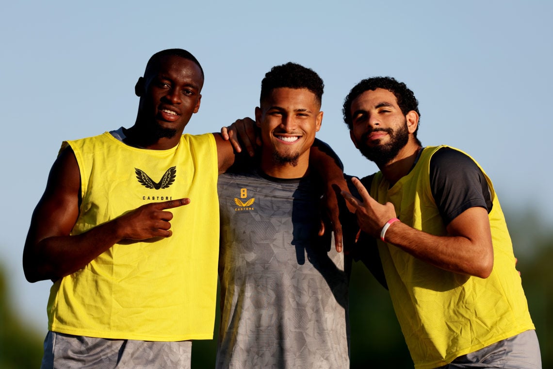 Photo by Jack Thomas - WWFC/Wolves via Getty Images