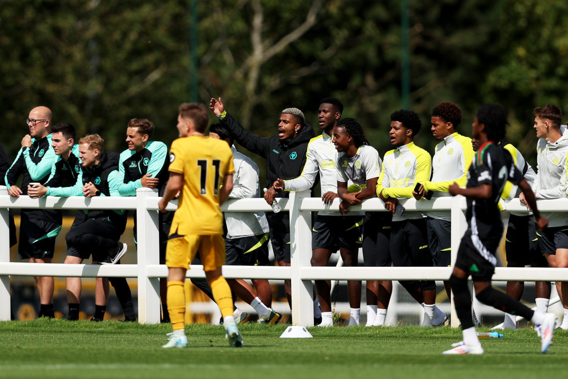 Photo by Jack Thomas - WWFC/Wolves via Getty Images