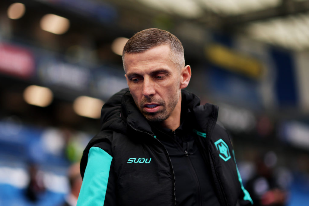 Brighton & Hove Albion FC v Wolverhampton Wanderers FC - Premier League