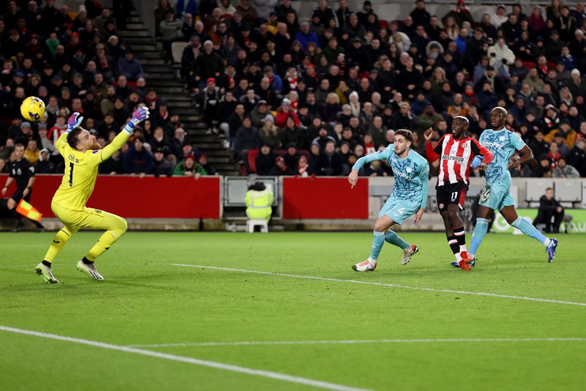 Photo by Ryan Pierse/Getty Images